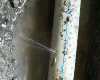 望奎卫生间测漏水多少钱